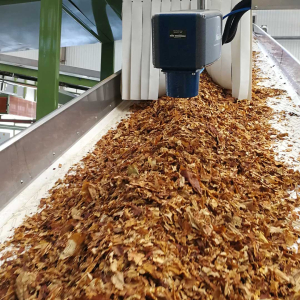 Máy Kiểm Tra Độ Ẩm Liên Tục Trên Băng Tải